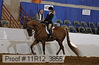 11r12_3855 proof