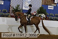 11r12_3856 proof