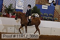 11r12_3858 proof