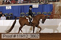 11r12_3862 proof