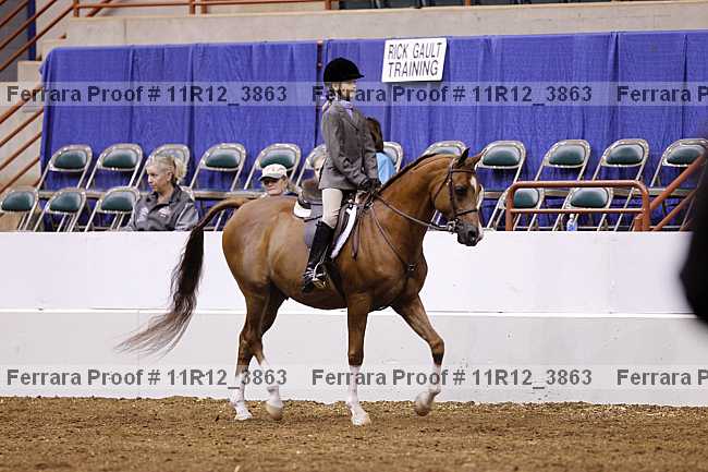 Proof 11r12_3863