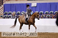 11r12_3863 proof