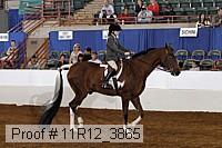 11r12_3865 proof