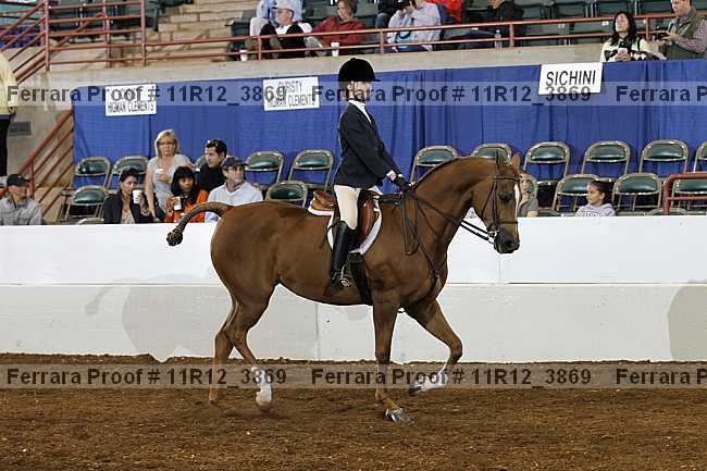 Proof 11r12_3869
