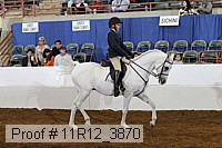 11r12_3870 proof