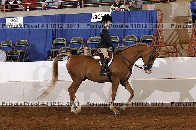 Proof 11r12_3871