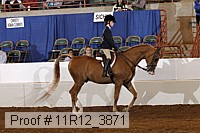 11r12_3871 proof