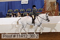 11r12_3872 proof