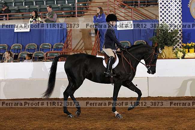 Proof 11r12_3873
