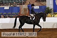 11r12_3873 proof