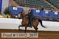11r12_3917 proof