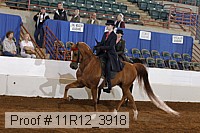 11r12_3918 proof