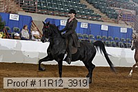 11r12_3919 proof