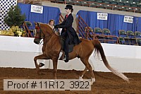 11r12_3922 proof