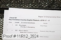 11r12_3924 proof