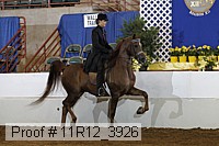 11r12_3926 proof