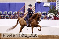 11r12_3928 proof