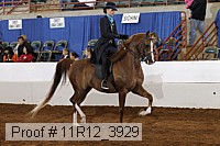 11r12_3929 proof