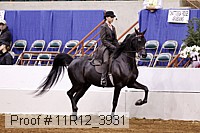 11r12_3931 proof