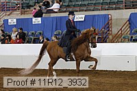 11r12_3932 proof