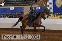 11r12_3934 proof