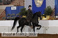 11r12_3937 proof