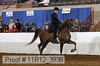 11r12_3938 proof