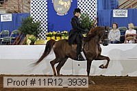 11r12_3939 proof