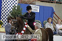 11r12_3942 proof