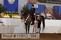 11r12_3943 proof