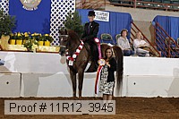 11r12_3945 proof