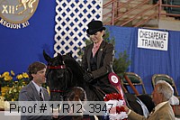 11r12_3947 proof