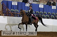 11r12_3961 proof