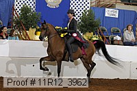 11r12_3962 proof