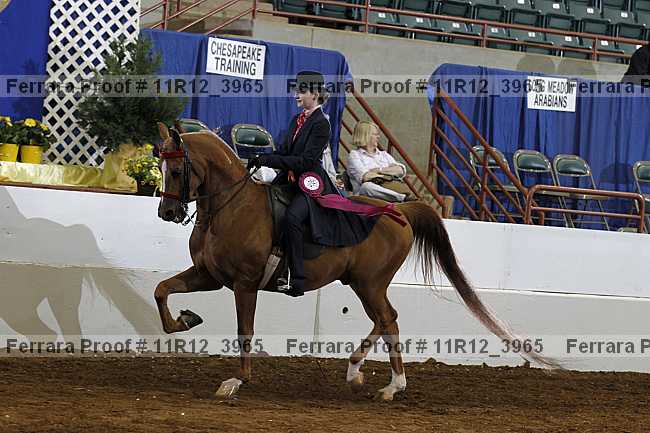 Proof 11r12_3965