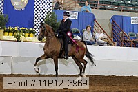 11r12_3969 proof
