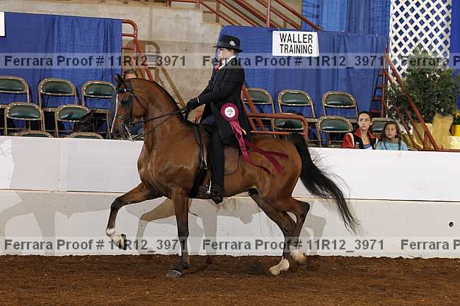 Proof 11r12_3971