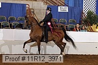 11r12_3971 proof