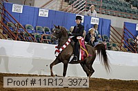 11r12_3972 proof