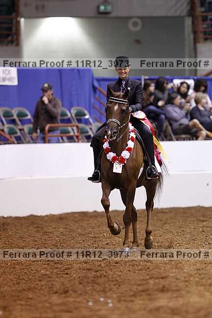 Proof 11r12_3973