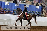 11r12_3974 proof