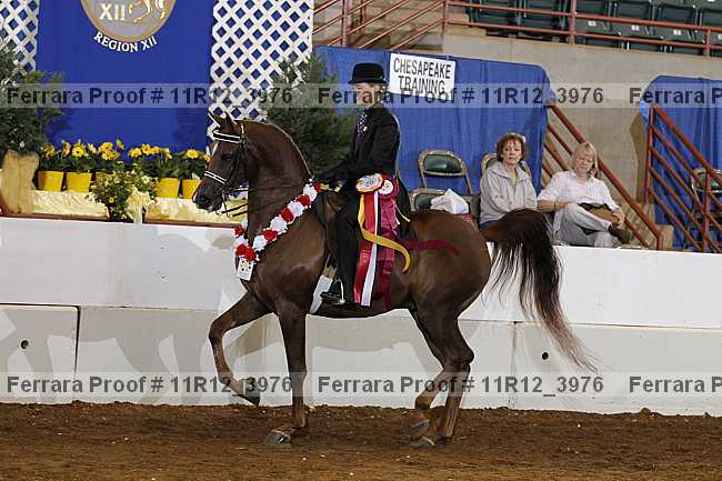 Proof 11r12_3976