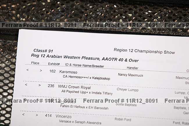 Proof 11r12_8091