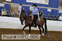 11r12_8092 proof