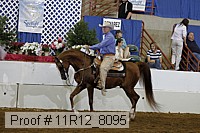 11r12_8095 proof