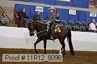 11r12_8096 proof