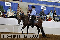 11r12_8098 proof