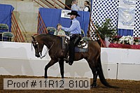 11r12_8100 proof