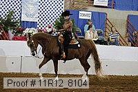 11r12_8104 proof