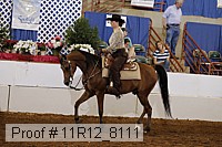 11r12_8111 proof